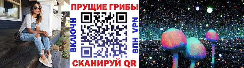 Галлюциногенные грибы ЛСД Вятские Поляны